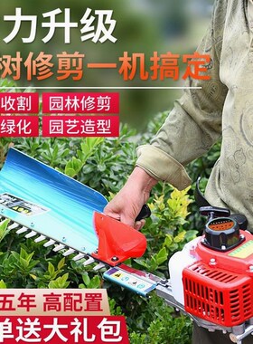 德国进口二冲程四冲程汽油绿篱机茶树修枝机大功率重修园林粗枝绿