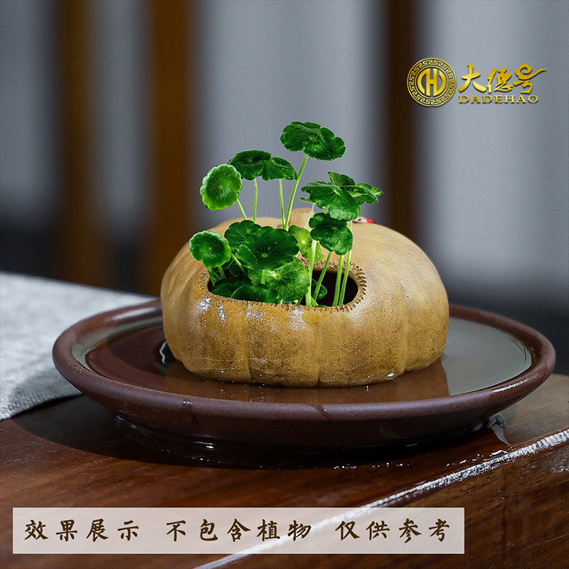 无孔铜钱草宜兴紫砂陶瓷小花盆一叶莲水培碗莲植物办公室摆件茶宠