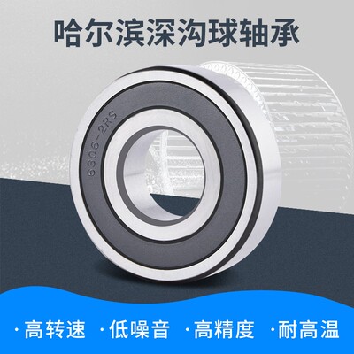 哈尔滨轴承6300 6301 6302 6303 6304 6305 6306 6307 6308RS ZZ
