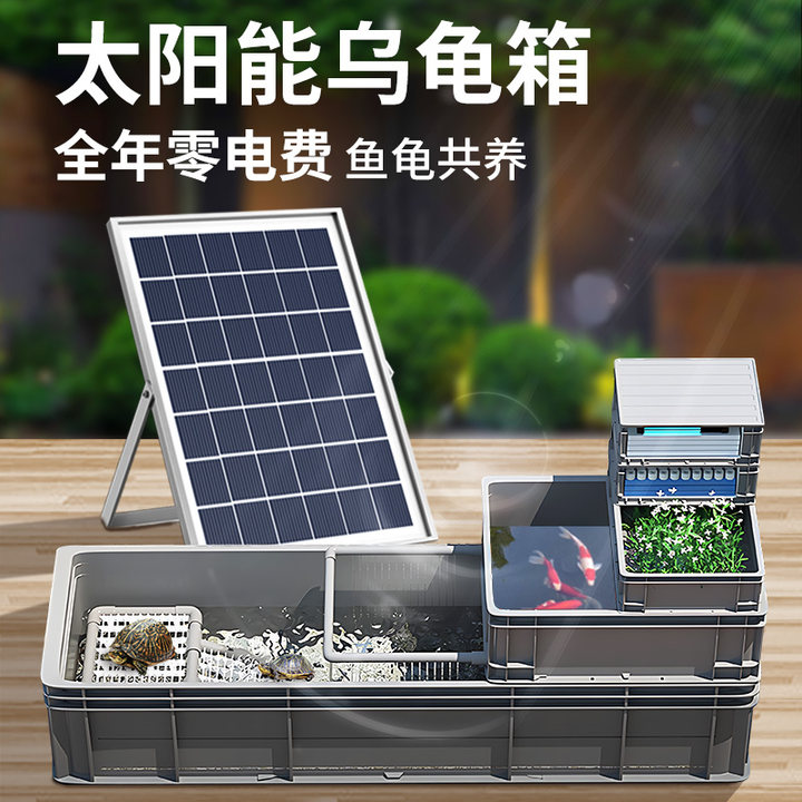 太阳能大乌龟箱饲养缸周转箱养鱼潜抽水泵家用大型鱼箱混养过滤器图片