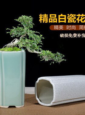 紫砂花盆青瓷釉兰花盆高盆多肉盆栽四方六方形签筒悬崖盆景盆白色