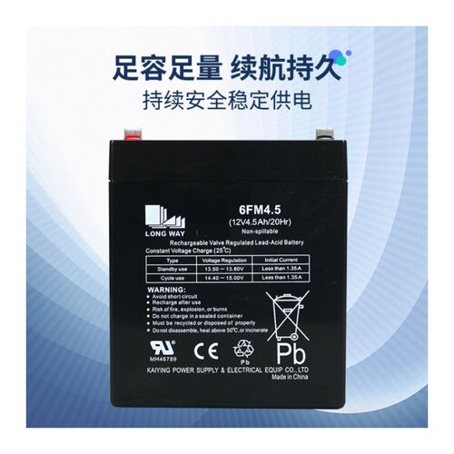 LONGWAY 龙威蓄电池 6FM4.5 12V4.5AH 音响 卷帘门专用 电瓶 电池