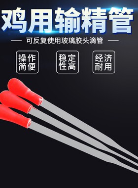养鸡场鸡用玻璃输精管养鸡场免疫滴管鸡人工授精输精管 养殖器械