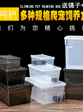 爬虫饲养盒蚕宝宝宠物蛇蜘蛛守宫蜥蜴蝎子蜈蚣乌龟昆虫蜗牛饲养箱