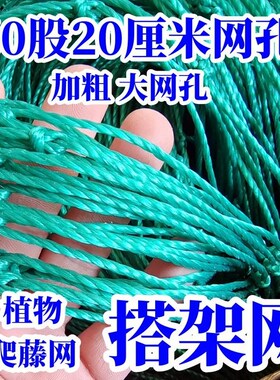 园艺家用植物爬藤网瓜网植物搭架网葡萄百香果黄瓜豆角丝瓜农用网