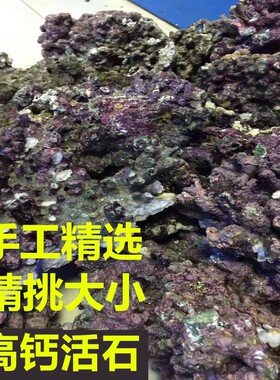 免爆藻石活石新鲜高钙深海片状海水过滤鱼缸珊瑚缸多孔生物造景石
