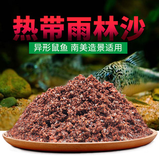 热带雨林沙底砂南美缸红沙原生鼠鱼雷龙异形底层鱼沙子水草缸造景