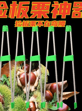 捡栗子神器拣板栗神器捡板栗夹子捡栗子神器摘果神器工具捡拾器实