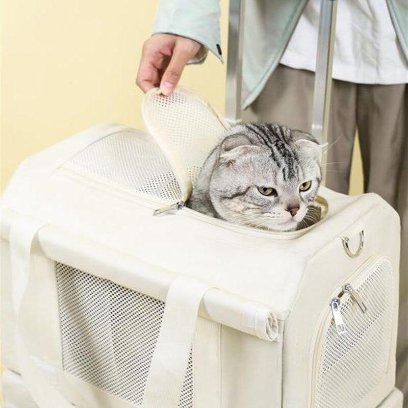 猫咪背包宠物拉i杆箱双层巴士行李箱猫包外出便携两祇大空间透气