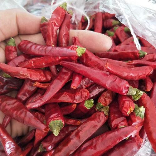 贵州遵义农家干辣椒香辣特辣小米辣贵州本地货脱水蔬菜辣椒