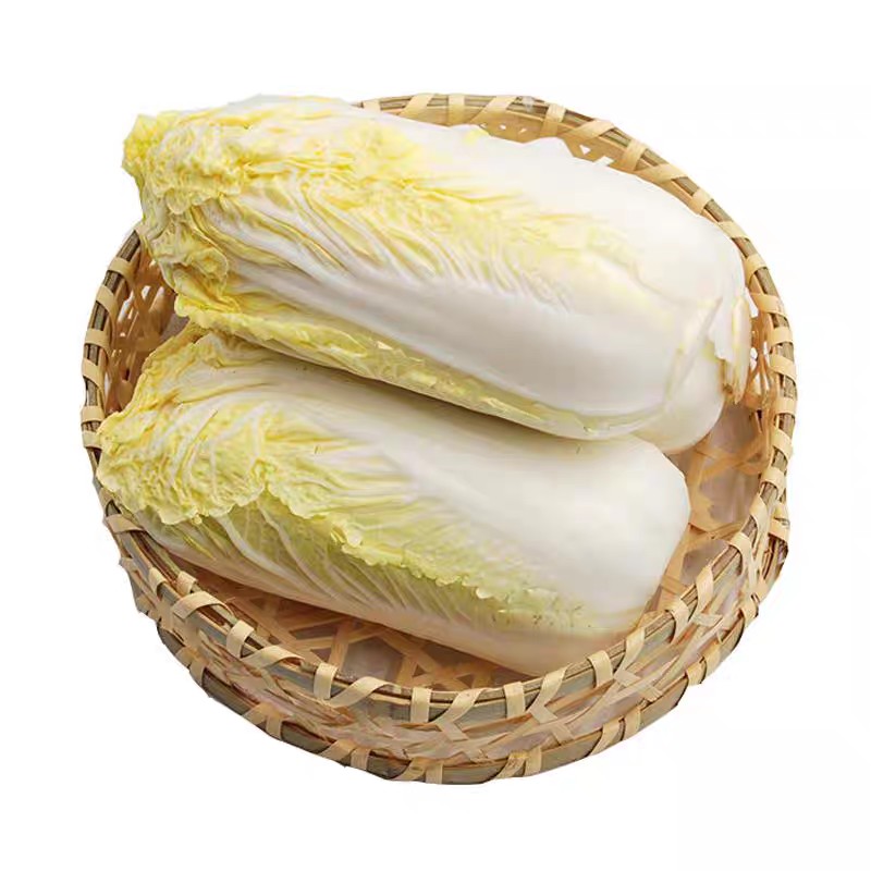 甘肃祁连山高原露天黄心娃娃菜新鲜露天时令蔬菜火锅食材软糯香甜