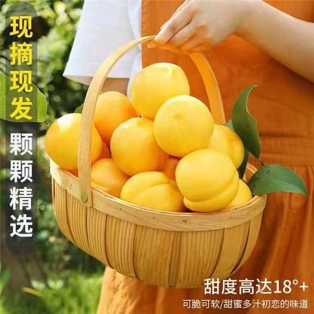 【现摘现发】山东蒙阴蜜桃黄金油桃应季水果产地直发脆甜多汁桃子
