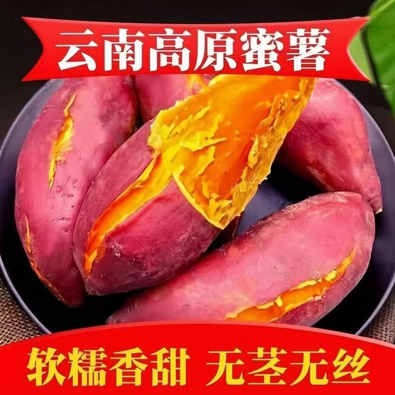 【软糯香甜】云南高原蜜薯西瓜红红薯无茎无丝蔬菜番薯坏果包赔