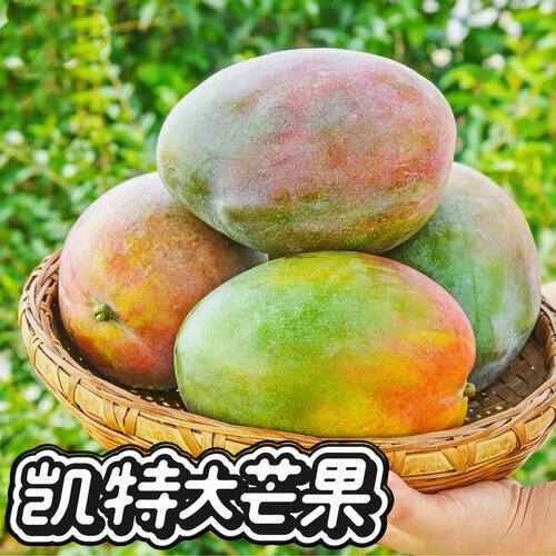 正宗凯特芒攀枝花大芒果催熟放软食用芒果皮薄肉厚大果 坏果包赔