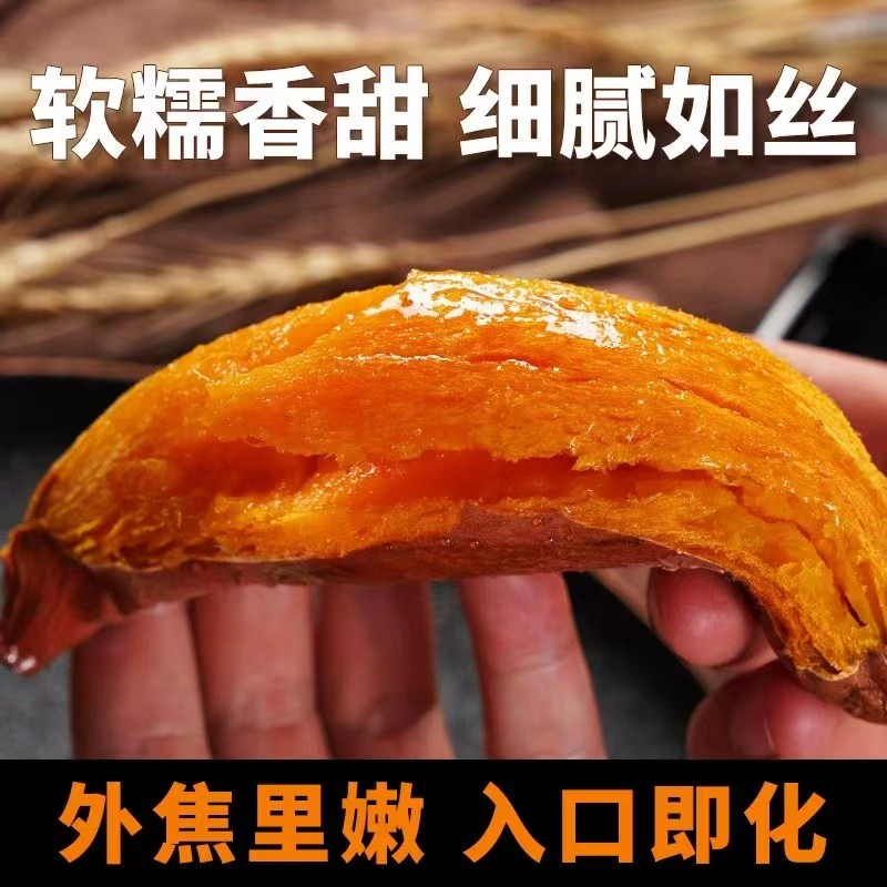 烟薯25号山东蜜薯番薯红薯烤地瓜糖稀软瓤流油农家(需糖化)
