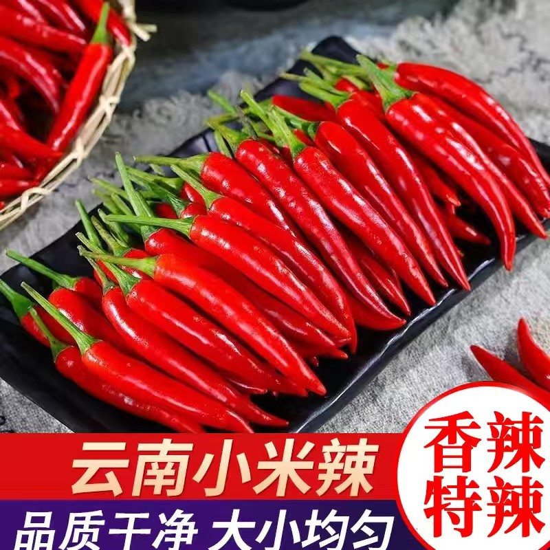 【云南小米辣】特辣爆辣农家种植特辣鲜香现摘现发辣椒小米椒朝天