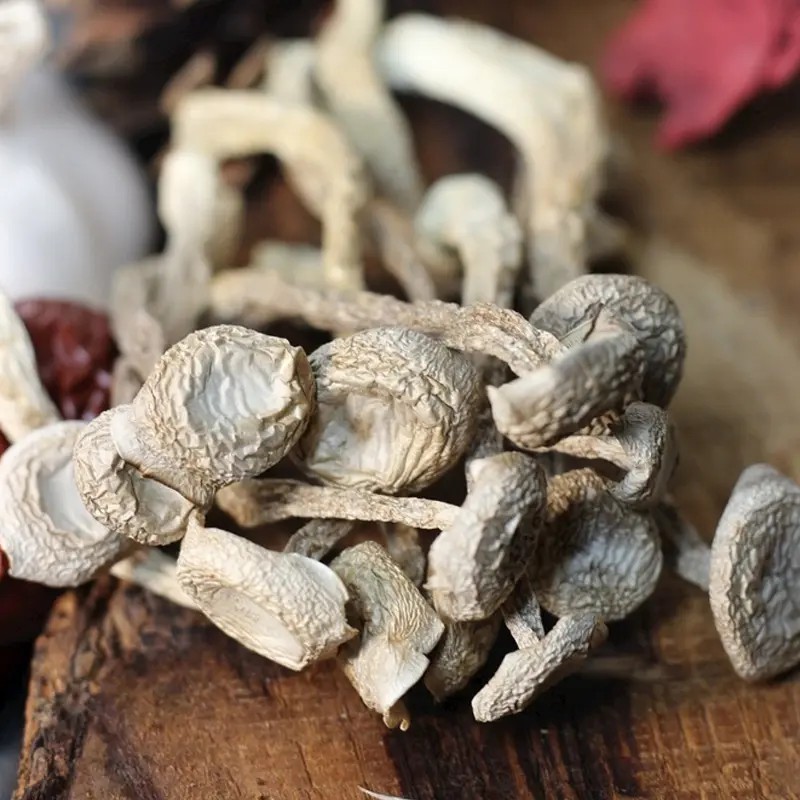 【259到手1斤】高品质鹿茸菇农家精选干货鲜食用菌菇炒肉炖汤食用