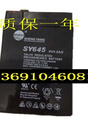 SHENGYANG晟阳蓄电池 SY645 6V4.5AH玩具车 童车 电子称用电瓶