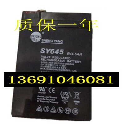 SHENGYANG晟阳蓄电池 SY645 6V4.5AH玩具车 童车 电子称用电瓶