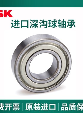 NSK胶盖深沟球轴承6300 6302 6301 6304  6306 6307  6309 6310DD