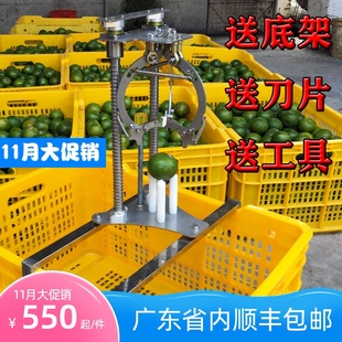 新会柑开皮机器 陈皮开皮机 开柑皮器 开柑皮机 手动陈皮开皮工具