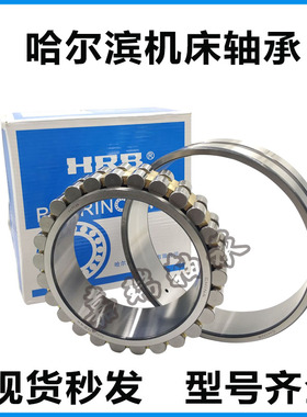 HRB 哈尔滨 轴承 NN3021K/P4W33 机床轴承 C3182121 105*160*41