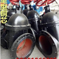 Z45T-10/16铸铁法兰暗杆闸阀HT 铜芯铜杆契式闸阀DN65 80 100 200