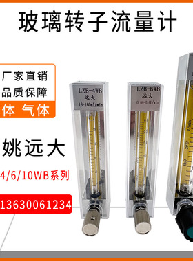 余姚远大面板式玻璃转子流量计LZB-4WB 6WB 10WB气体液体水流量计