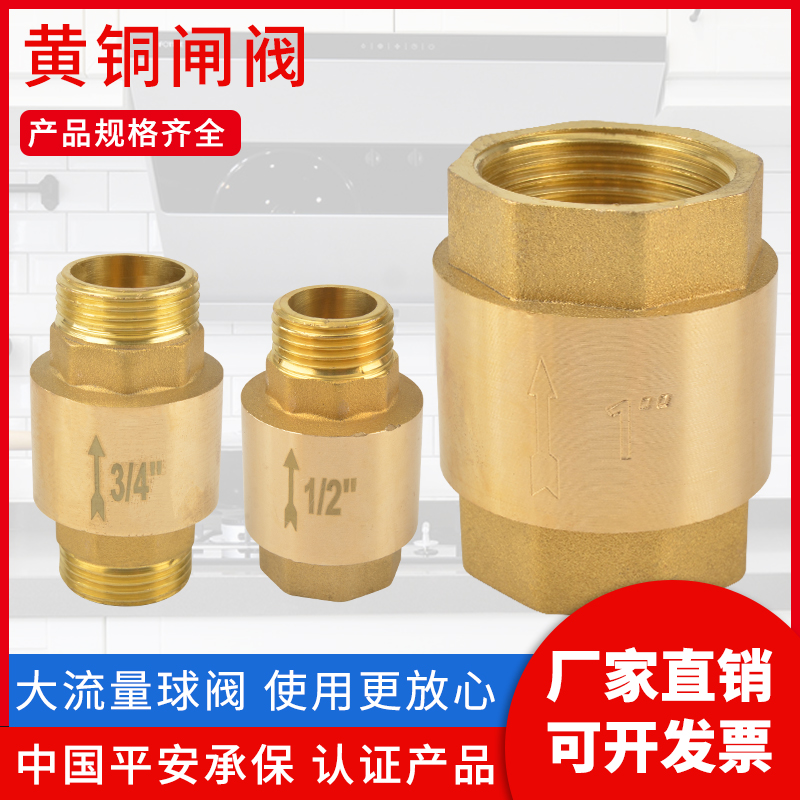 黄铜止回阀弹簧立式单向阀水管螺纹阀门4分6分平装水阀止逆阀锻造