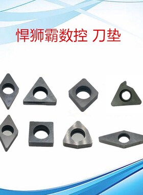 悍狮霸数控配件WN06/WN08/TN16/VN16/SN12/CN12/CN16/CN19/DN15