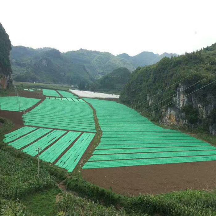 绿化无纺布绿色园林工地防尘盖土布护G坡边坡草坪植草籽无纺布整