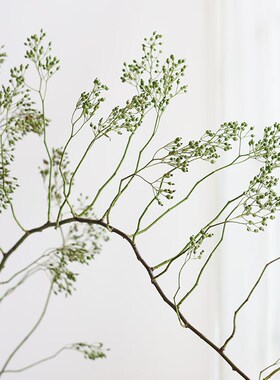 山归来鲜切干树枝侘寂风干t花高级感真花客厅装饰花瓶插花天然植