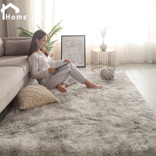 地毯卧室北欧风新款 床边毛绒毯轻奢高级免洗毛毯房间茶几地垫加厚