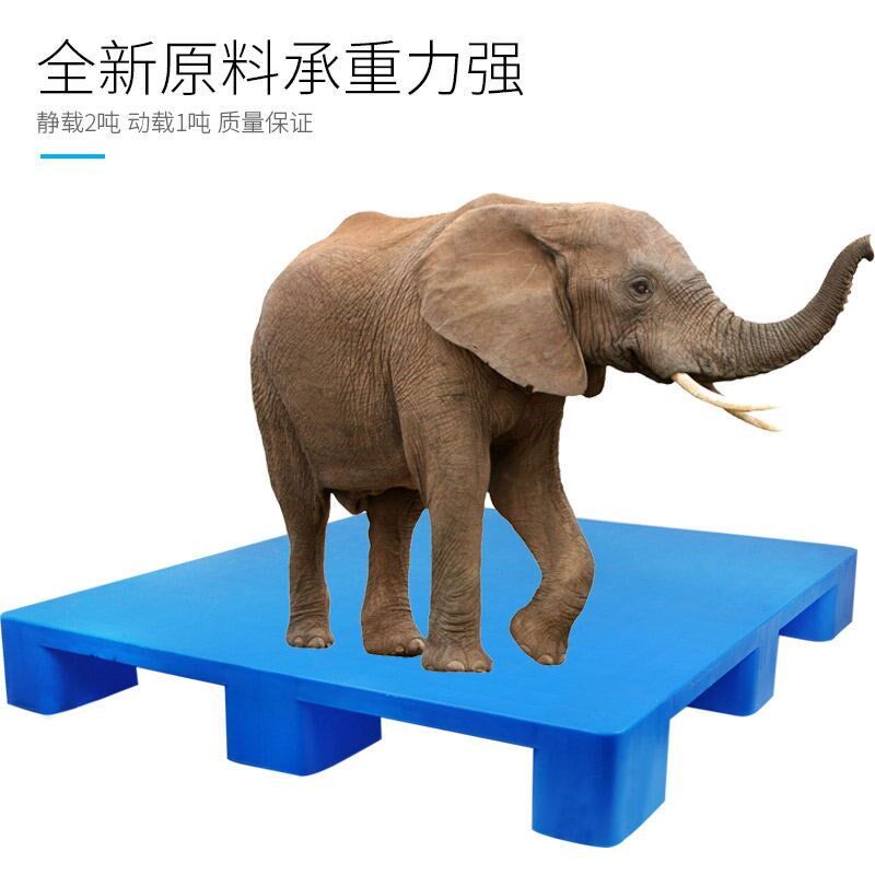 塑料堆高机托 托盘仓库垫仓板防潮垫板栈板塑料卡板货架地牛X托