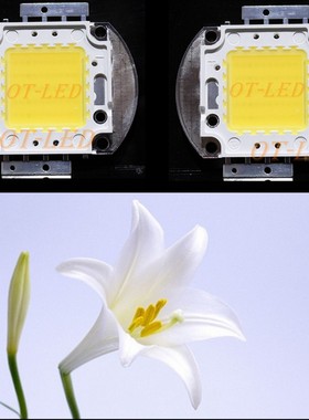 全光谱白色10W20W30W50W100W灯珠水族灯水草灯珊瑚灯LED仿太阳光