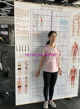挂式体态评估表健身房瑜伽馆私教体态姿势体测表格挂式身体评估表