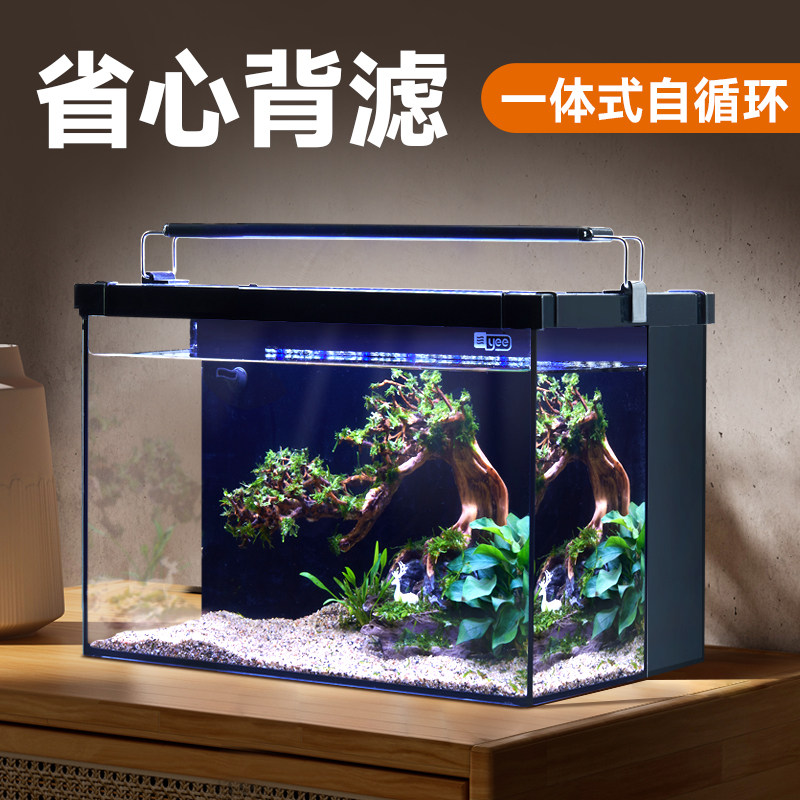 超白背滤鱼缸小型客厅q生态养鱼桌面缸免换水懒人造景自循环水草