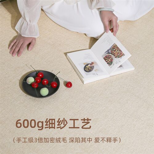 地毯客厅奶d油风2024新款卧室床边毯免洗可擦家用防水茶几地垫防