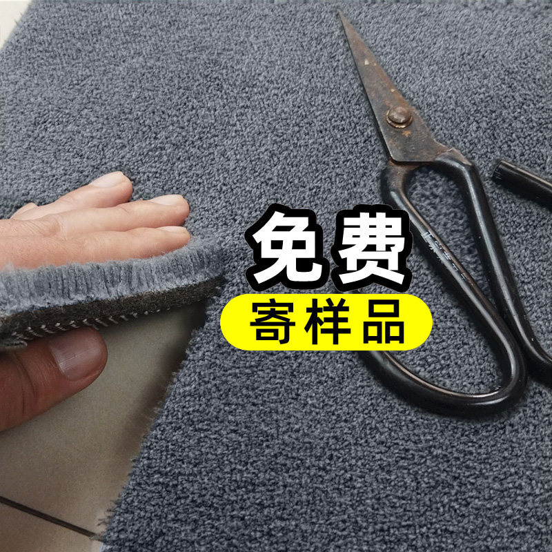 别墅地毯冬天加厚2023新款客厅卧室沙发茶几毯地垫大面积隔音房间