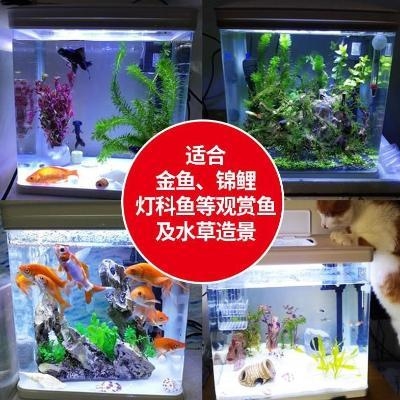 室内鱼缸装饰品家用幼儿园客厅圆形小型电动迷你桌Y上过滤棉立式