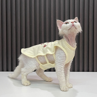 夏季 纯棉肚兜背心印花任发财无毛猫衣服斯芬克斯猫德文衣服