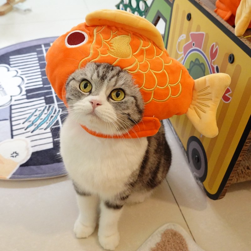 年年有余宠物新年可爱锦鲤鱼头套猫咪拜年帽吉祥装扮英短美短头饰