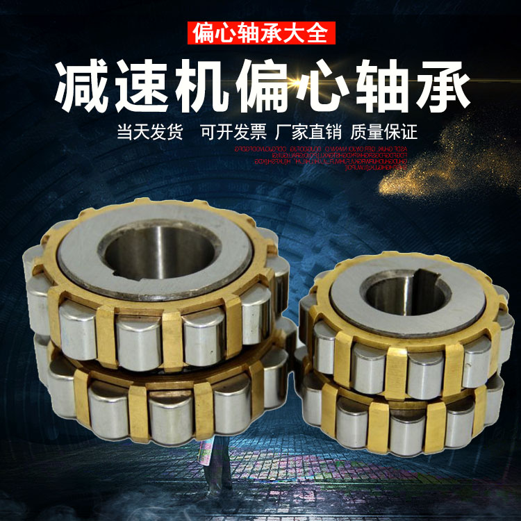 减速机偏心轴承RN205 RN206 307 308 309 312 219 222M 轴承