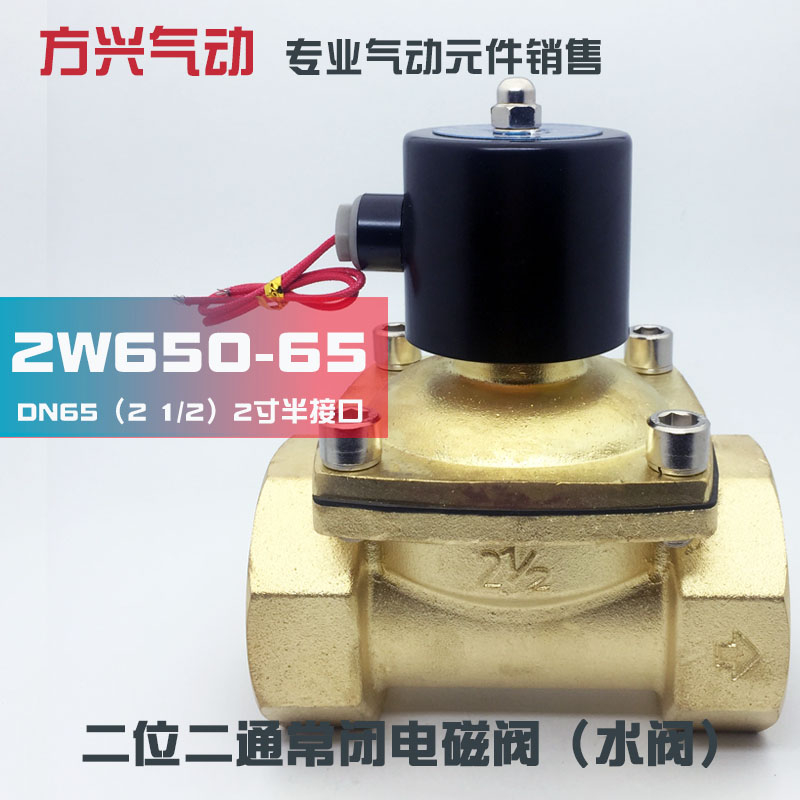 2W650-65电磁阀 DN65 80开关阀门 2寸半全铜常闭水阀气阀220V24V