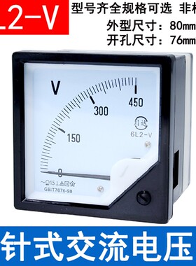 6L2型指针式交流电压表 6L2-V 250V 450V 500V 1.0KV 50V 100V