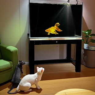 嘉赤60缸2025新款背过滤客厅桌面溪流生态观赏龙金鱼超白玻璃鱼缸