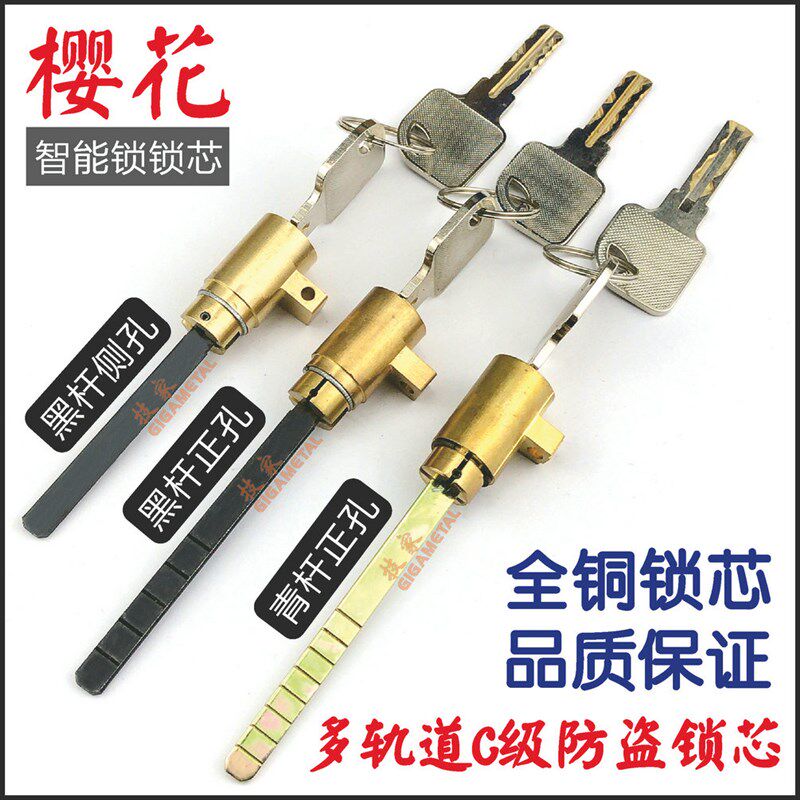 适用惠氏Y-HUA适用樱花SAKURA指纹锁锁芯步阳智能锁头电子门锁芯