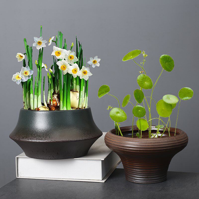 创意插花水培荷花睡莲铜钱草紫砂碗莲盆缸小金鱼无孔大号陶瓷花盆