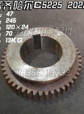 齐齐哈尔C5225立车配件 双联齿轮 20221 20223 20228 20229 20230