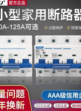 DZ47-125/1P 2P 3P 100A 80A 125A 小型断路器  空气开关 高品质